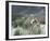 Storm Safety-Mikael Svensson-Framed Giclee Print