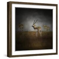 Storm Spotters-Jai Johnson-Framed Giclee Print