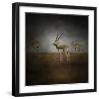 Storm Spotters-Jai Johnson-Framed Giclee Print