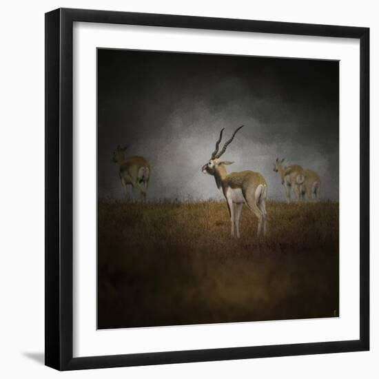 Storm Spotters-Jai Johnson-Framed Giclee Print