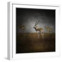 Storm Spotters-Jai Johnson-Framed Giclee Print