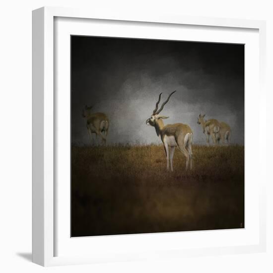 Storm Spotters-Jai Johnson-Framed Giclee Print