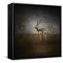 Storm Spotters-Jai Johnson-Framed Stretched Canvas