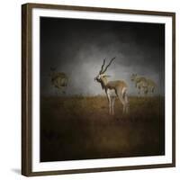 Storm Spotters-Jai Johnson-Framed Giclee Print