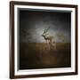 Storm Spotters-Jai Johnson-Framed Giclee Print