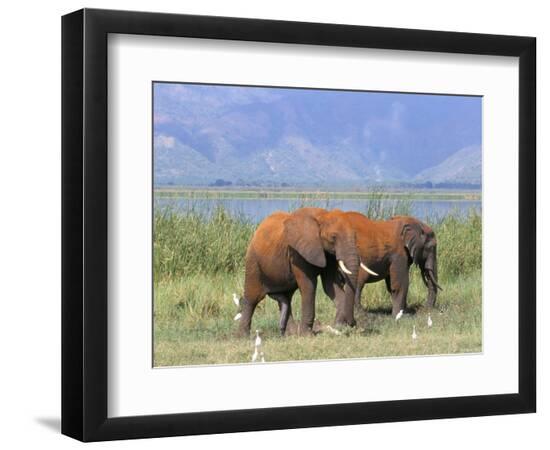 Premium Photographic Print, , large