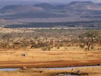 Shaba National Reserve, Kenya, East Africa, Africa-Storm Stanley-Photographic Print