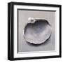 Storm Tousle-Chris Witkowski-Framed Art Print