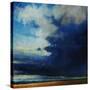 Storm Watch-Tim O'toole-Stretched Canvas