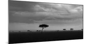 Storm with rain over the Maasai Mara, Kenya, Africa.-Martin Zwick-Mounted Photographic Print