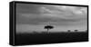 Storm with rain over the Maasai Mara, Kenya, Africa.-Martin Zwick-Framed Stretched Canvas