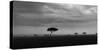 Storm with rain over the Maasai Mara, Kenya, Africa.-Martin Zwick-Stretched Canvas