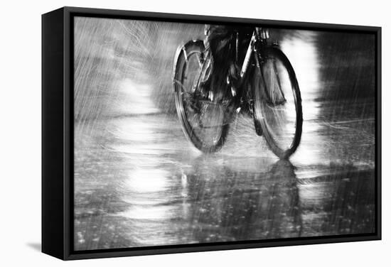 Storm-Jian Wang-Framed Stretched Canvas