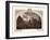 Storming of Badajoz-null-Framed Giclee Print