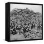 Storming of the Boer Kopje by the Suffolks at Colesberg, South Africa, Boer War, 1900-Underwood & Underwood-Framed Stretched Canvas