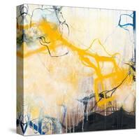 Storms-Romeo Zivoin-Stretched Canvas