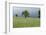 Stormy atmosphere in the country, fruit-trees-Christine Meder stage-art.de-Framed Photographic Print