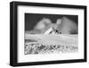 Stormy clouds approaching the Lilliehookbreen Glacier.-Sergio Pitamitz-Framed Photographic Print