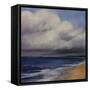 Stormy Day At The Beach-Tim O'toole-Framed Stretched Canvas