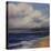 Stormy Day At The Beach-Tim O'toole-Stretched Canvas