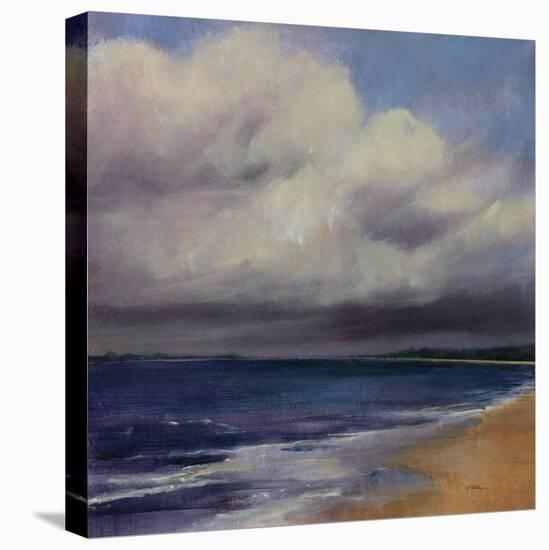 Stormy Day At The Beach-Tim O'toole-Stretched Canvas