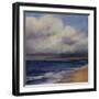 Stormy Day At The Beach-Tim O'toole-Framed Giclee Print