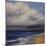 Stormy Day At The Beach-Tim O'toole-Mounted Giclee Print