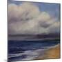 Stormy Day At The Beach-Tim O'toole-Mounted Giclee Print