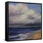 Stormy Day At The Beach-Tim O'toole-Framed Stretched Canvas