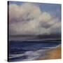 Stormy Day At The Beach-Tim O'toole-Stretched Canvas
