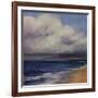 Stormy Day At The Beach-Tim O'toole-Framed Giclee Print