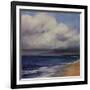 Stormy Day At The Beach-Tim O'toole-Framed Giclee Print