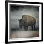 Stormy Day Buffalo-Jai Johnson-Framed Giclee Print