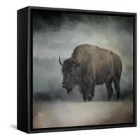 Stormy Day Buffalo-Jai Johnson-Framed Stretched Canvas