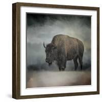 Stormy Day Buffalo-Jai Johnson-Framed Giclee Print