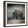 Stormy Day Buffalo-Jai Johnson-Framed Giclee Print