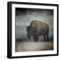 Stormy Day Buffalo-Jai Johnson-Framed Giclee Print