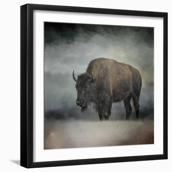 Stormy Day Buffalo-Jai Johnson-Framed Giclee Print