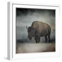 Stormy Day Buffalo-Jai Johnson-Framed Giclee Print