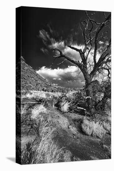 Stormy Day near Abique-Dean Fikar-Stretched Canvas