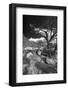 Stormy Day near Abique-Dean Fikar-Framed Photographic Print