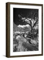 Stormy Day near Abique-Dean Fikar-Framed Photographic Print