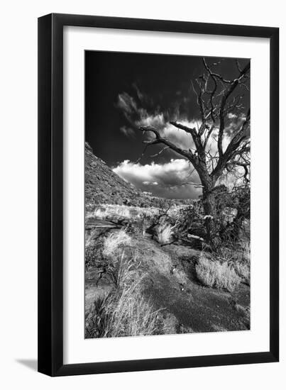 Stormy Day near Abique-Dean Fikar-Framed Photographic Print