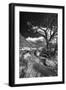 Stormy Day near Abique-Dean Fikar-Framed Photographic Print