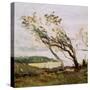 Stormy Day on the Channel (Oil on Canvas)-Jean Baptiste Camille Corot-Stretched Canvas