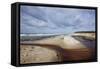 Stormy Day on the Western Beach of Darss Peninsula-Uwe Steffens-Framed Stretched Canvas