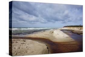 Stormy Day on the Western Beach of Darss Peninsula-Uwe Steffens-Stretched Canvas