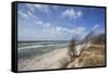 Stormy Day on the Western Beach of Darss Peninsula-Uwe Steffens-Framed Stretched Canvas