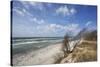 Stormy Day on the Western Beach of Darss Peninsula-Uwe Steffens-Stretched Canvas