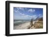 Stormy Day on the Western Beach of Darss Peninsula-Uwe Steffens-Framed Photographic Print